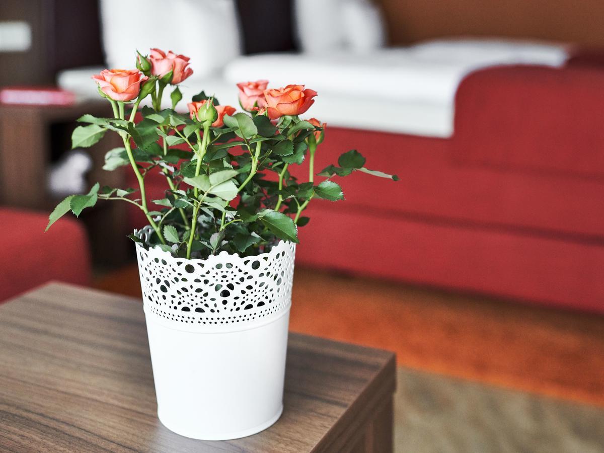 Hotel Lamm Ostfildern Ngoại thất bức ảnh